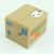 Kitty Animated Coin Bank