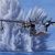 USN PBM-5A Mariner 1/72
