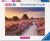 Pink Pathway 1000pc