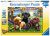 Puppy Picnic 100XXLpc