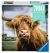 Puzzle Moment Highland Cattle 300pc