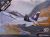 F/A 18D Hornet US Marines  Repro 1/72