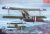 Sopwith 1-1/2 Strutter 1/48