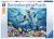 Dolphins 500pc