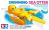Swimming Sea Otter