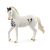 Marwari Stallion