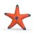 Starfish with Color Change