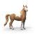 Mustang Mare