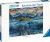 Wisdom Whale 2000pc