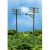 Telephone Poles