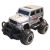 Trail X Truck RTR