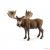 Moose Bull
