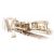 UGears Tram Line