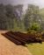 Discarded Scenic Rails