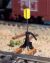 CN Switch Stands 10pk