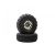 Ascend 1.9 Class 1 Mtd BlackChrome pr