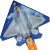 F-22 Raptor Kite