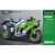 Kawasaki Ninja ZV-10R 1/9
