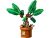 Harry Potter Mandrake