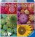Mandala Blooms 500pc