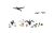 Ducks & Swans HO Scale