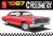 1967 Mercury Cyclone GT 1/25