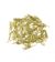 Brass Nails 10mm 200pk