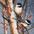Woodland Sprites Mounted Medium Crystal Art Kit