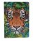 Tiger in the Forest CANotebook