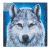 Moonlight Wolf Medium CAK