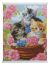 Playful Cats CA Scroll Kit