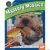 Mystery Mosaics Book 5