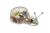 Line Tracing Snail II