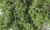 Fine Leaf Foliage Medium Green