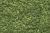 Foliage Light Green