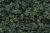 Underbrush Dark Green
