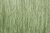 Field Grass Light Green
