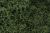 Lichen Med. Green