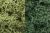Lichen Light Green Mix