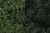 Lichen Dark Green Mix