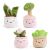 Little Geens Cute Plants