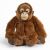 Living Nature Orangutan