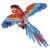 Macaw 3D Kraft Kit
