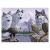 Wolves & Eagles Paint by Number