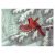 Cardinals Paint by Number