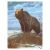 Grizzly Bear Paint by Number