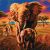 Elephant Savannah 30 x 30cm Crystal Art Kit