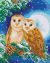 Moonlight Perch 40 x 50cm Crystal Art Kit