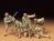 US Army Assault Set 1/35