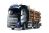 Volvo FH16 Timber Truck 1/10 Kit